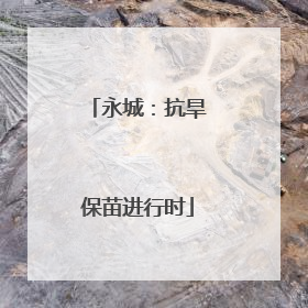 永城：抗旱保苗进行时